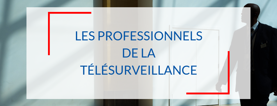 Télésruveillance