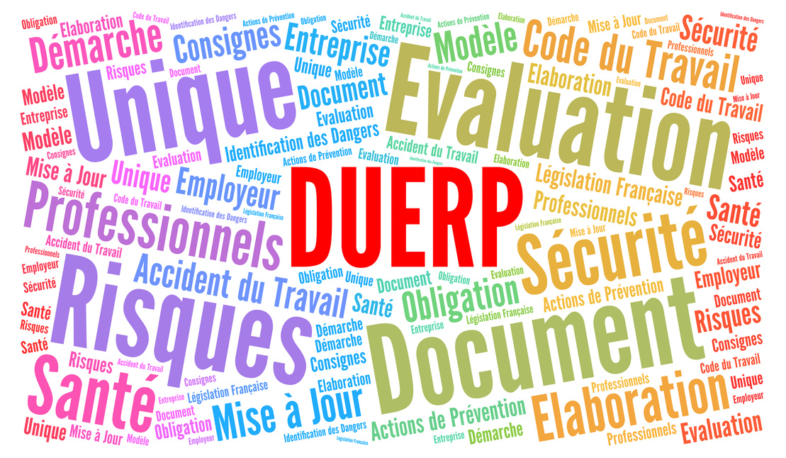 1110x646_DUERP PTI DATI_Document unique evaluation risques professionnels